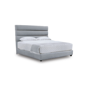 DV-110 (Fabric) - Image 1