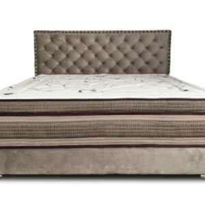 DV-ELLINGTON - Image 2