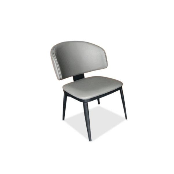 NP-2408 Dining Chair