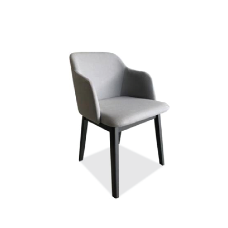 ZE-C021 Dining Chair - Image 1