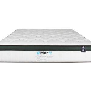 Morfé Arezzo - Image 4