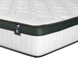 Morfé Arezzo - Image 3