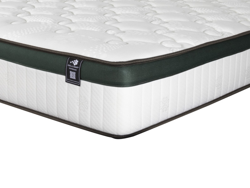 Morfé Arezzo - Image 3