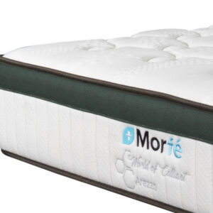 Morfé Arezzo - Image 2