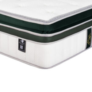 Morfé Virtuoso - Image 3