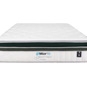 Morfé Virtuoso - Image 5